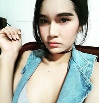 Lalah Ladyboy - Transsexual escort in Riyadh