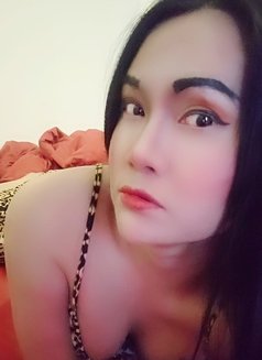 Lalah Ladyboy - Transsexual escort in Riyadh Photo 8 of 9