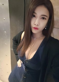 Lalaland - escort in Hong Kong Photo 1 of 7