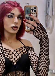Lali Princesse - Transsexual escort in Tunis Photo 4 of 6
