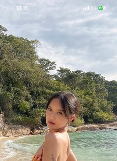 Lalin - Transsexual escort in Chiang Mai Photo 4 of 4