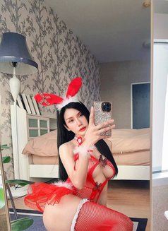 Lalyn Nun - Transsexual escort in Chiang Mai Photo 6 of 7