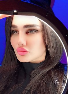Lamar - Transsexual escort agency in Beirut Photo 1 of 14