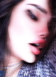 Lamar - Transsexual escort agency in Beirut Photo 7 of 14