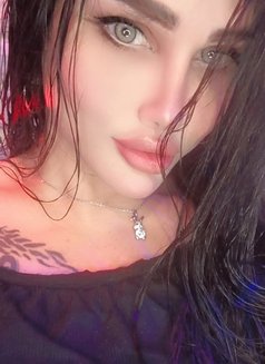 Lamar - Transsexual escort agency in Beirut Photo 12 of 14