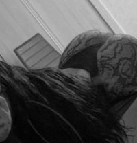 Lamar ali - puta in Erbil Photo 6 of 7