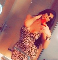 Kandy B - Acompañantes transexual in Beirut
