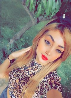 Lamis - puta in Erbil Photo 3 of 3