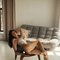 Lana Estonian Beauty Deep Touch • Dirty - puta in Copenhagen Photo 1 of 21