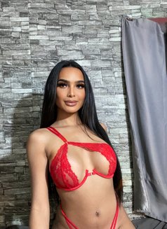 Lana28 - Transsexual escort in Phuket Photo 28 of 29