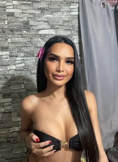 Lana28 - Acompañantes transexual in Phuket Photo 27 of 28