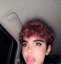 Land - Male escort in Kuala Lumpur