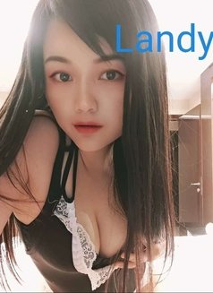 Landy - escort in Beijing Photo 6 of 6