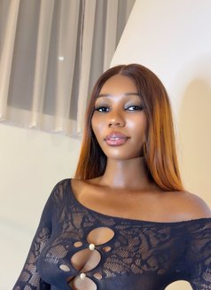 Lani Sugar - escort in Kuala Lumpur Photo 11 of 17