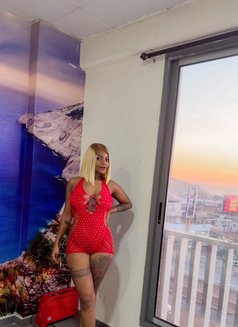 Lapibel - puta in Beirut Photo 3 of 4