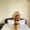 Lara 18y Hot Girl - escort in Colombo Photo 2 of 11