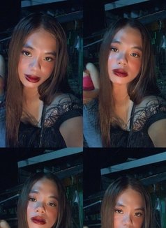 Lara - Transsexual escort in Manila Photo 4 of 8