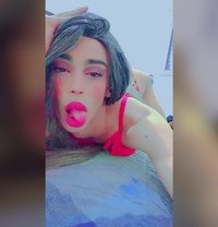 Lara Fortuna - Transsexual escort in Tunis
