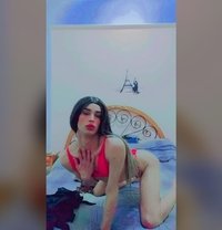 Lara Fortuna - Acompañantes transexual in Tunis