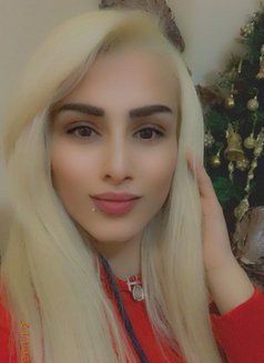 Lara - escort in Beirut Photo 1 of 4