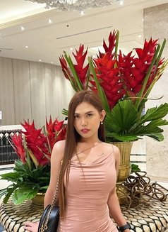 Lara Marie ( TOP MODEL ) - Transsexual escort in Manila Photo 19 of 20