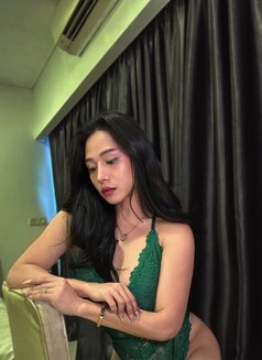 Lara Martin - Transsexual escort in Kuala Lumpur Photo 25 of 27