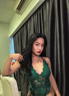 Lara Martin - Transsexual escort in Kuala Lumpur Photo 26 of 27