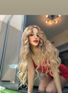 Lara New in Dubai Anal - escort in Dubai Photo 7 of 12