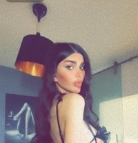 Lara Shemail Arabian Istanbulلارا شيميل - Transsexual escort in İstanbul Photo 7 of 7