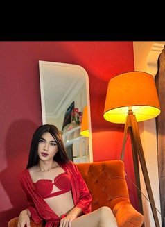 Lara Xl - Transsexual escort in İstanbul Photo 2 of 6