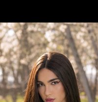 Lara Xl - Transsexual escort in İstanbul
