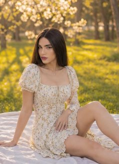 Lara Xl - Transsexual escort in İstanbul Photo 6 of 6