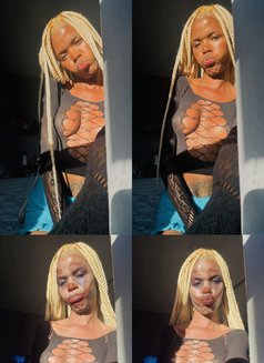Lara - Acompañantes transexual in Cape Town Photo 2 of 6
