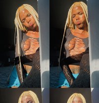 Lara - Transsexual escort in Johannesburg