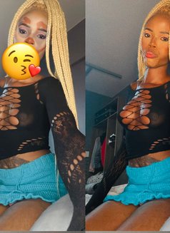 Lara - Acompañantes transexual in Cape Town Photo 4 of 6