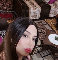 Lareen - Transsexual escort in Beirut Photo 12 of 14