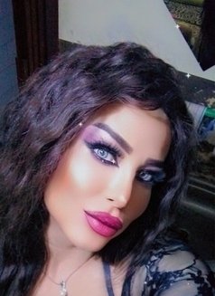 Lareen - Transsexual escort in Beirut Photo 26 of 28