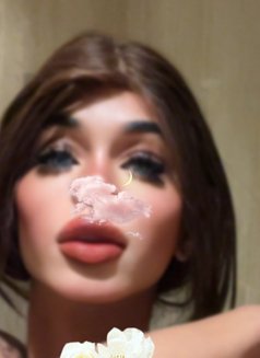 Larg25cm مغربي زبي - Acompañantes transexual in Riyadh Photo 8 of 19