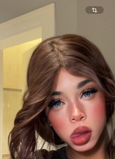 Larg25cm مغربي زبي - Acompañantes transexual in Riyadh Photo 12 of 19