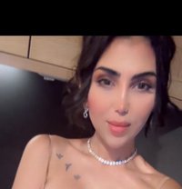 Larissa - Transsexual escort in Beirut
