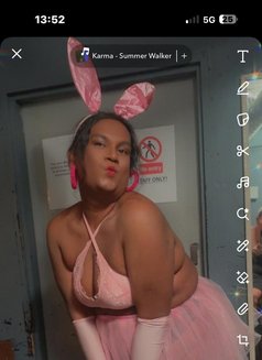 Lashee Shenon - Transsexual escort in London Photo 5 of 5