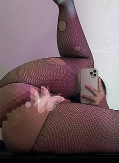 Be in oman just 10 days - escort in Muscat Photo 6 of 9