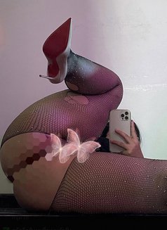 Be in oman just 10 days - escort in Muscat Photo 9 of 9