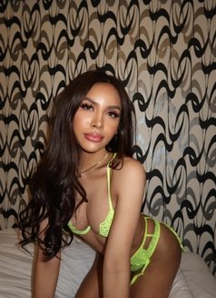 THE BEST GFE INDEPENDENT KASSANDRA - escort in Taipei Photo 21 of 30