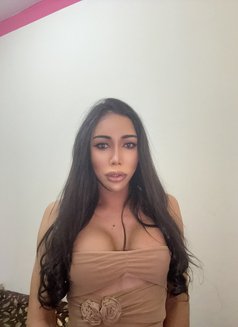 Last Day Saudi ( can good top VVip) - Transsexual escort in Dammam Photo 8 of 8