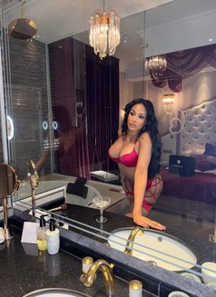 MIXED RACE TS ARAB/BLACK BANGKOK - Transsexual escort in Bangkok Photo 11 of 19