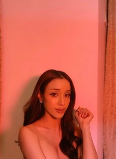 Latin Full Services And Charming - Transsexual escort in Riyadh Photo 3 of 8