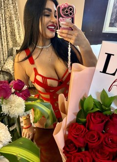 DIOSA 🇵🇾 PARAGUAY - escort in Dubai Photo 16 of 17