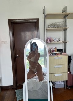 Yensy Just arrived ( YES TO ALL ) - escort in Taipei Photo 9 of 12