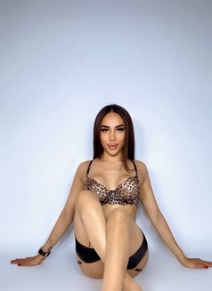 Laura 21/6 real size 🇷🇺 - Transsexual escort in Riyadh Photo 23 of 27